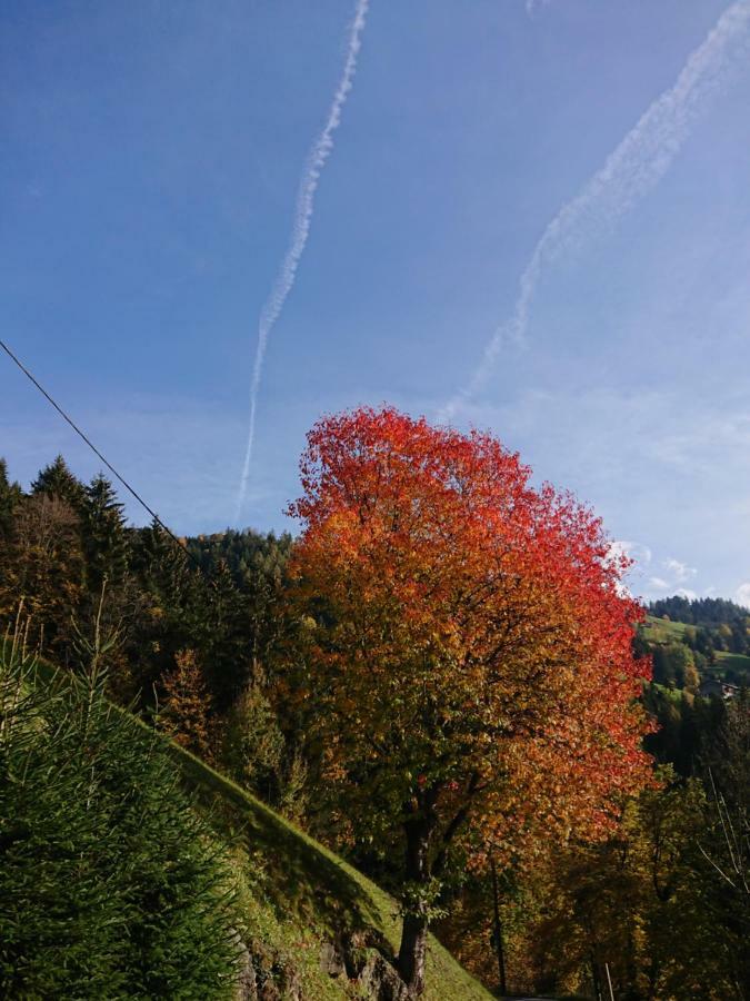 Apart Pfister Aschau Im Zillertal المظهر الخارجي الصورة